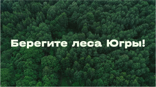 В округе действует особый противопожарный режим, который обязывает нас соблюдать правила безопасности.